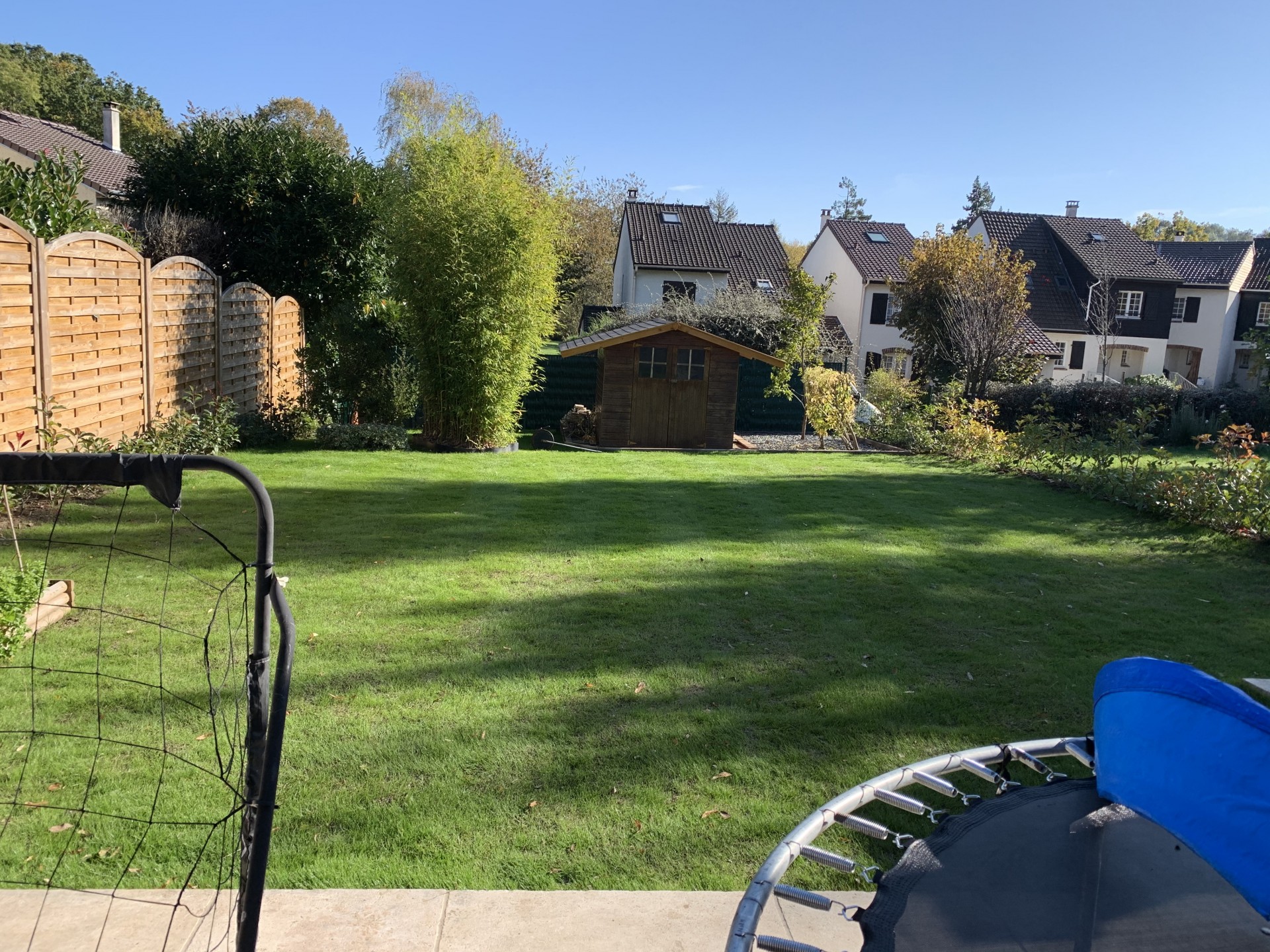 Pelouse après deux semaines
